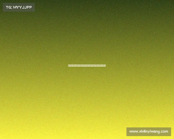 曼彻斯特对阵多特蒙德的欧冠焦点赛事精彩回顾与深度解析